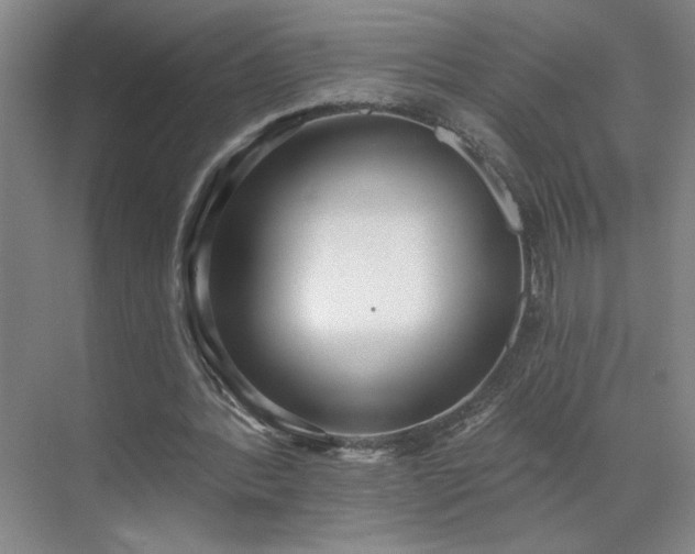 X0000070340388200606161256