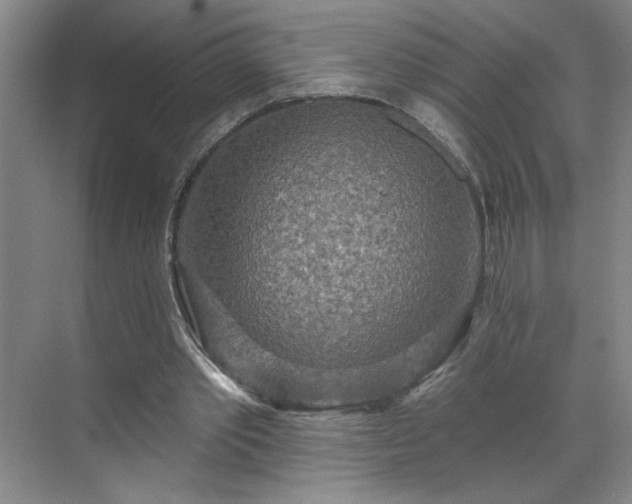 X0000070340389200606161256