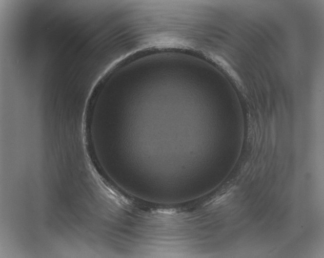 X0000070340391200606161256