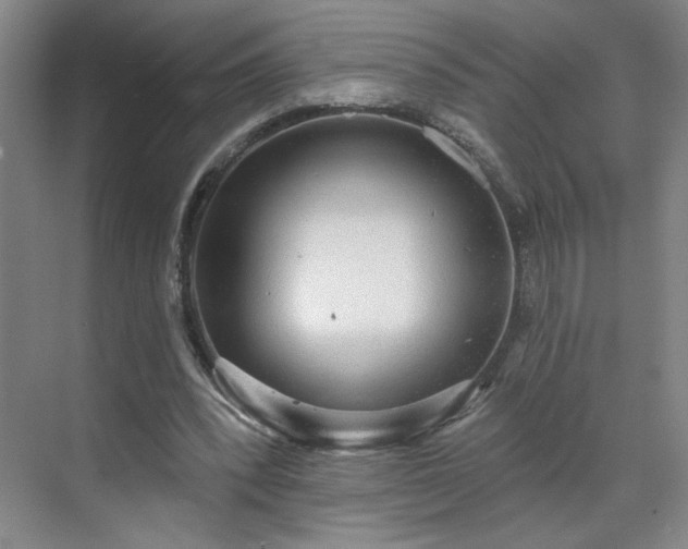 X0000070340392200606161256