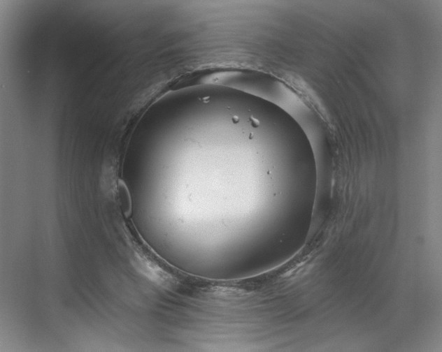 X0000070340393200606161256