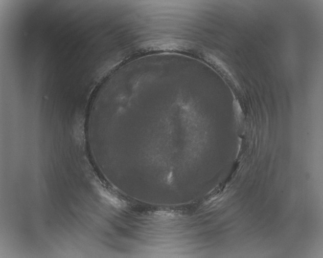 X0000070340394200606161256