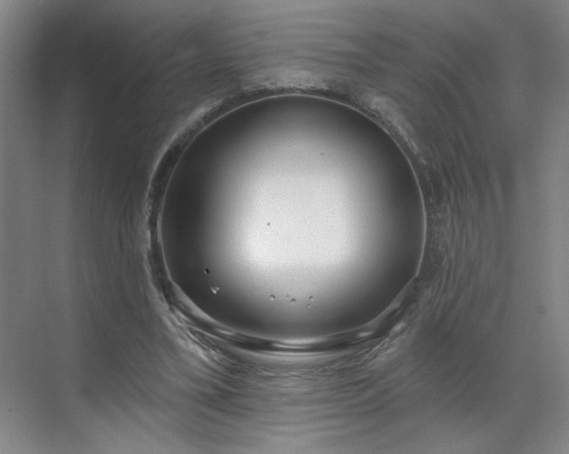 X0000070340395200606161256