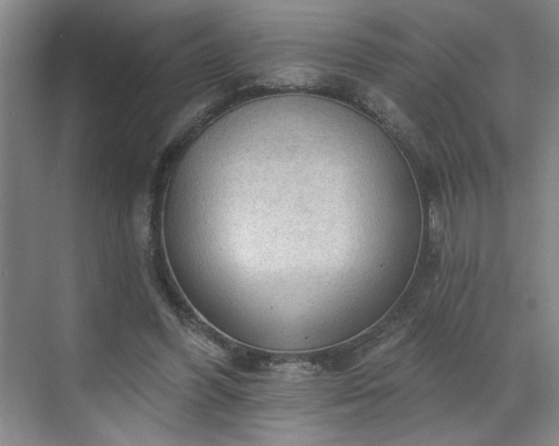 X0000070340396200606161256