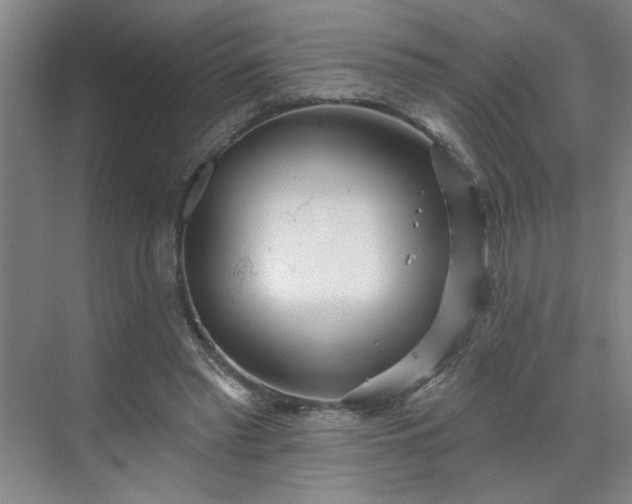 X0000070340397200606161256