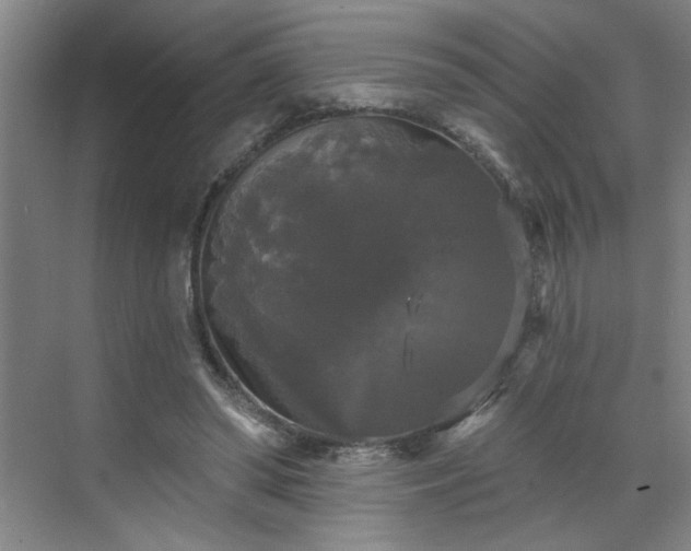 X0000070340398200606161256