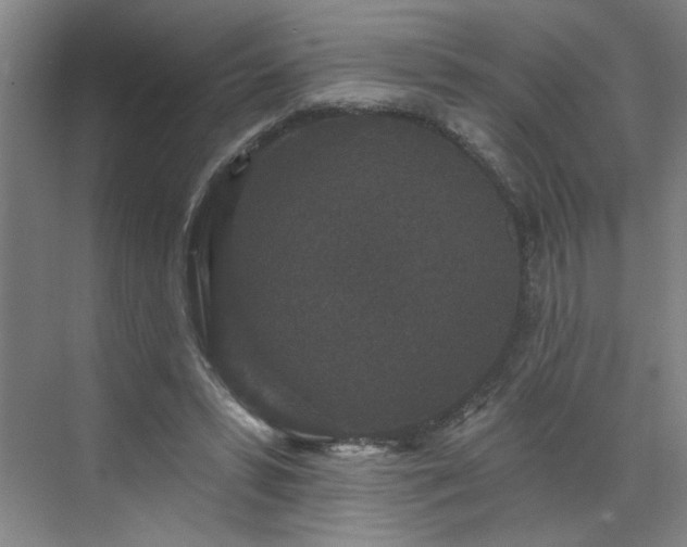 X0000070340399200606161256