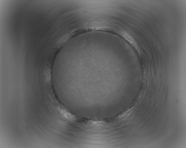 X0000070340401200606161256