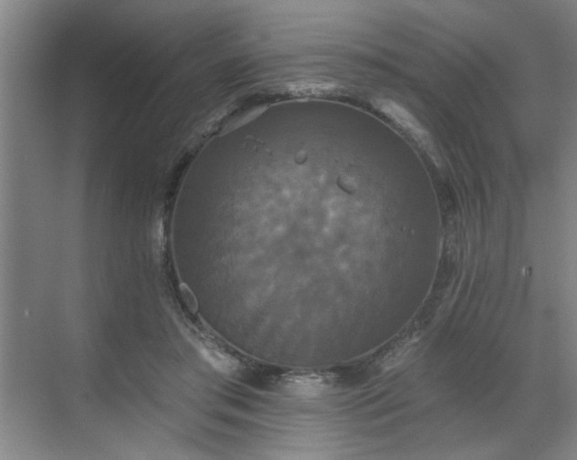 X0000070340405200606161256