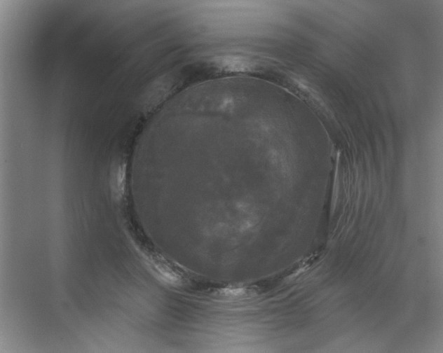 X0000070340406200606161256