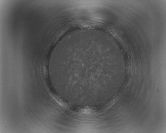 X0000070340408200606161256