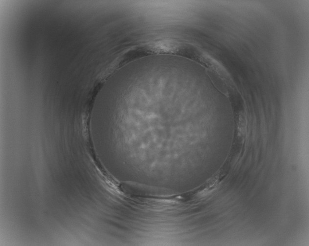 X0000070340409200606161256