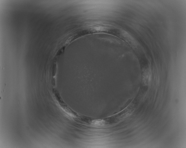 X0000070340410200606161256