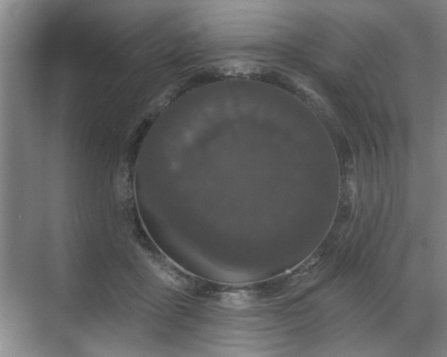 X0000070340411200606161256