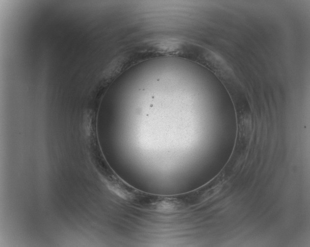 X0000070340412200606161256