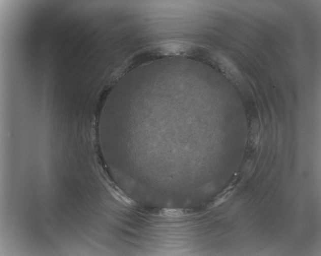 X0000070340413200606161256