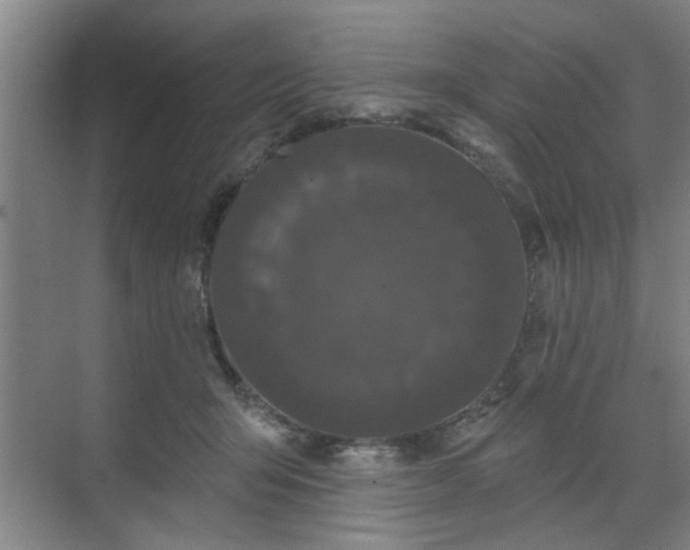 X0000070340415200606161255