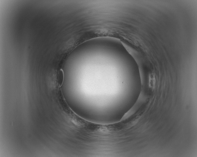 X0000070340416200606161255