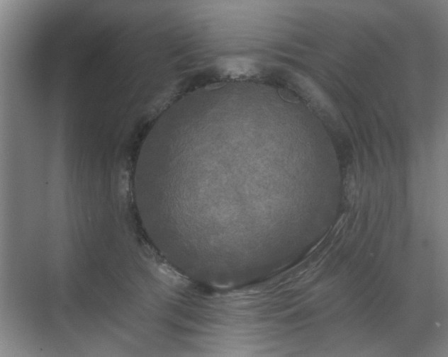 X0000070340417200606161255