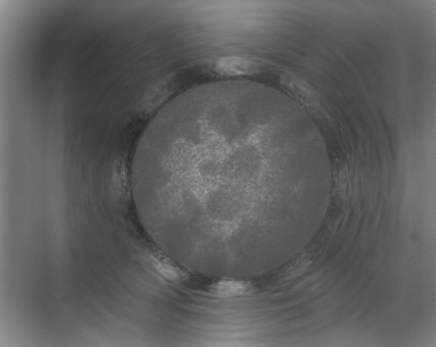 X0000070340418200606161255