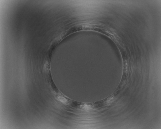 X0000070340419200606161255