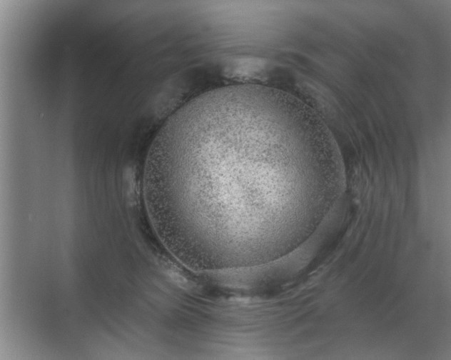 X0000070340420200606161255