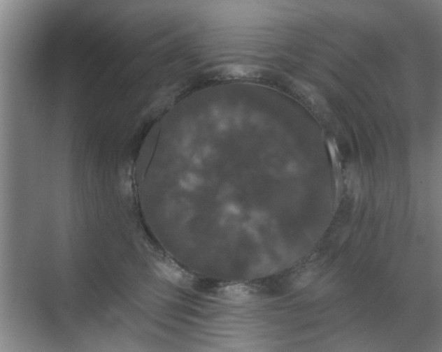 X0000070340423200606161255