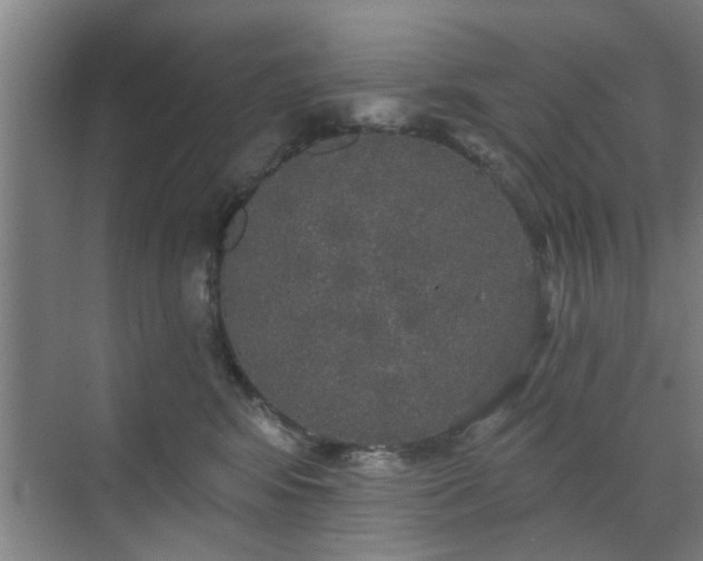 X0000070340424200606161255