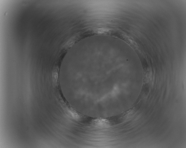 X0000070340427200606161255