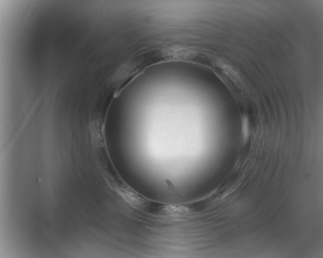 X0000070340429200606161255