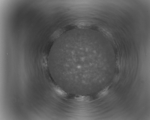 X0000070340430200606161255