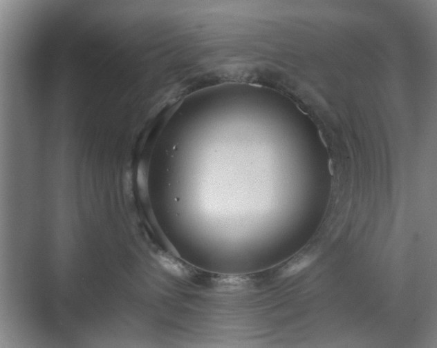 X0000070340432200606161255