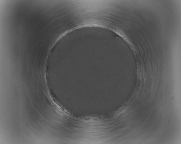 X0000070340434200606161254