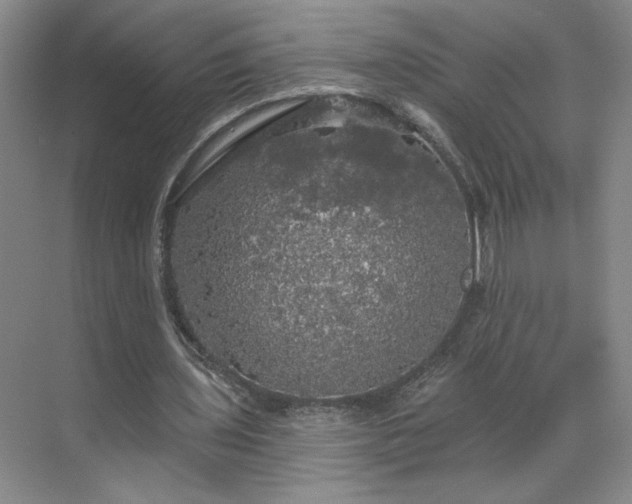 X0000070340435200606161254