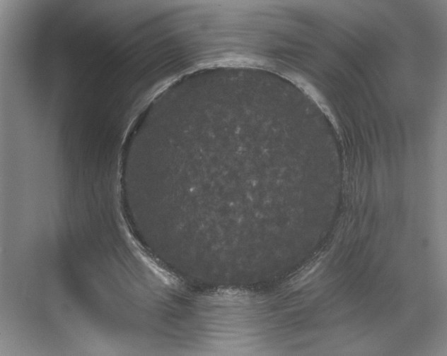 X0000070340437200606161254