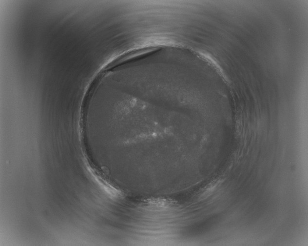 X0000070340439200606161254