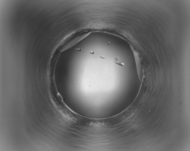 X0000070340440200606161255