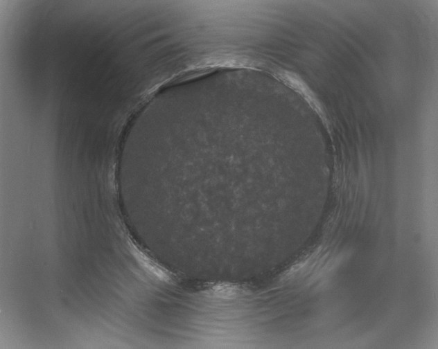 X0000070340441200606161255