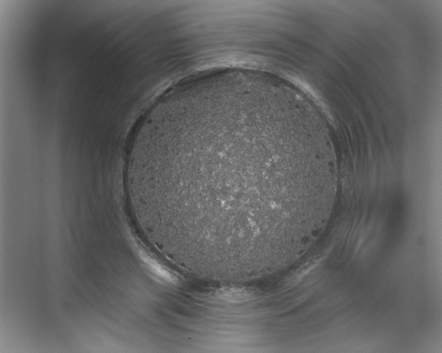 X0000070340445200606161255