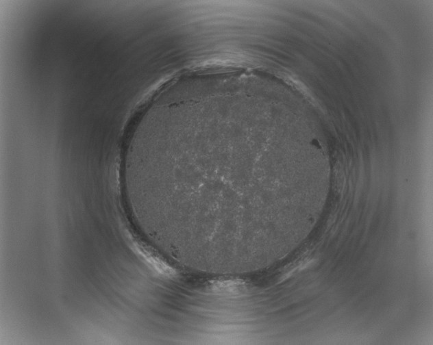 X0000070340446200606161255