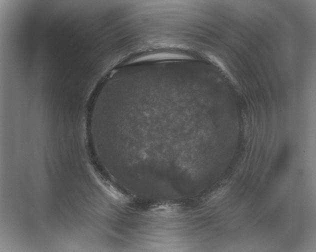 X0000070340447200606161255