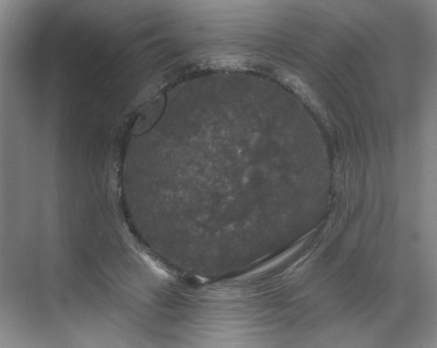 X0000070340449200606161255