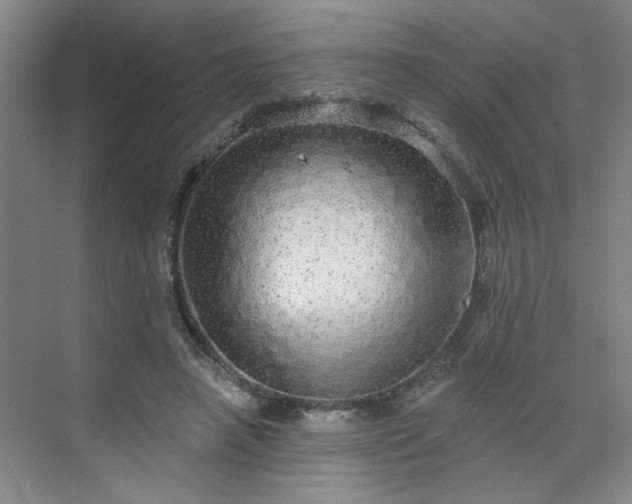 X0000070340450200606161255