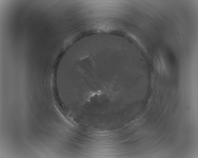 X0000070340451200606161255