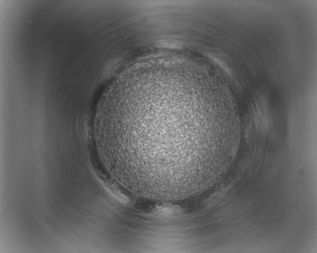 X0000070340455200606161255