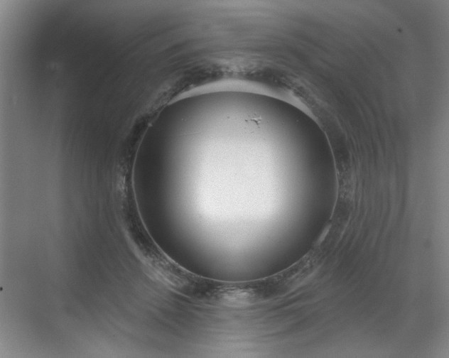 X0000070340456200606161255