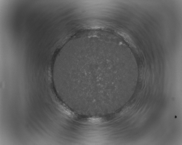 X0000070340457200606161255