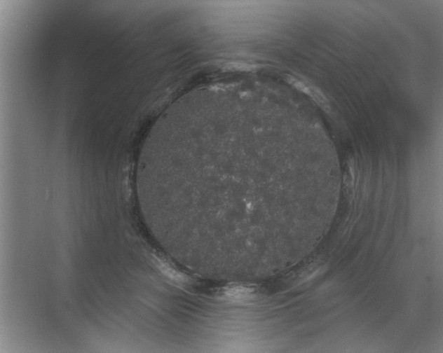 X0000070340462200606161255