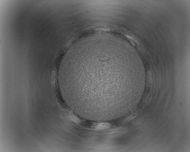 X0000070340463200606161255