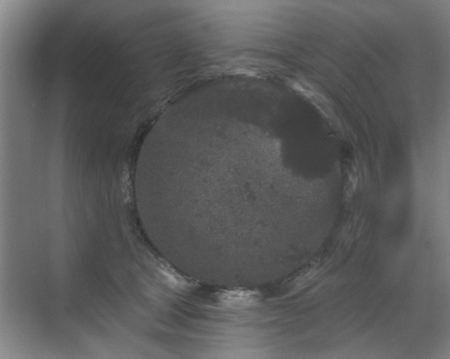 X0000070340465200606161255